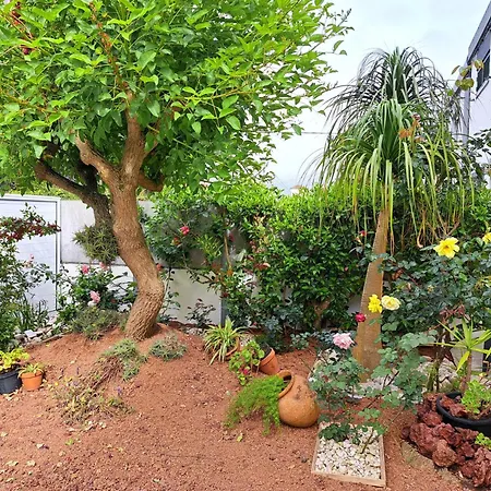 Friends'house - Azores ラゴア