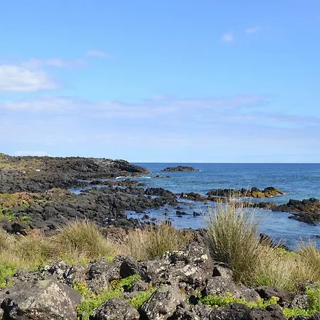 Friends'house - Azores 別荘 *