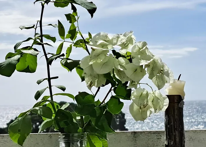 Friends'house - Azores *