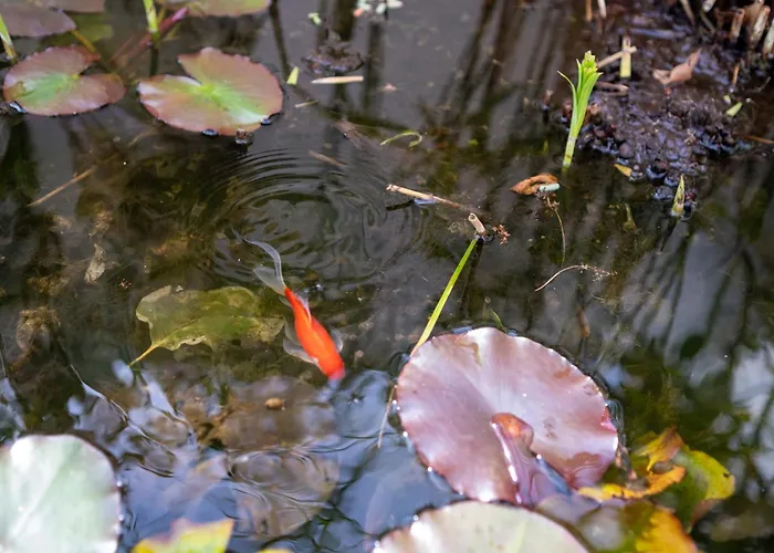 בית נופש Friends'house - Azores