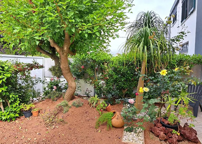 Friends'house - Azores לאגואה